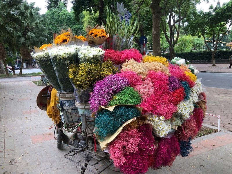Con phố Phan Đình Phùng như một bức tranh vẽ với vô vàn  màu sắc