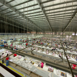 Hàng ngàn công nhân hụt hẫng vì công ty thông báo dừng hoạt động trước Tết