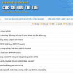Kiến nghị tra cứu sở hữu trí tuệ bắt buộc trước khi phê duyệt tên trường