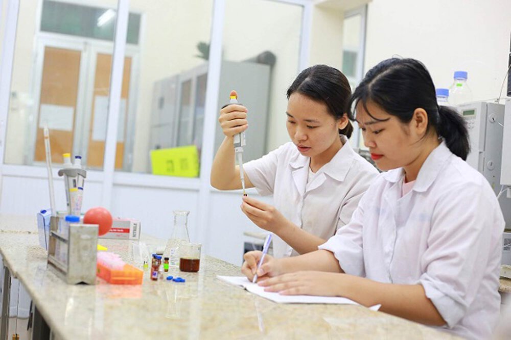 Ngành công nghệ và kinh doanh thực phẩm: Rộng cửa việc làm