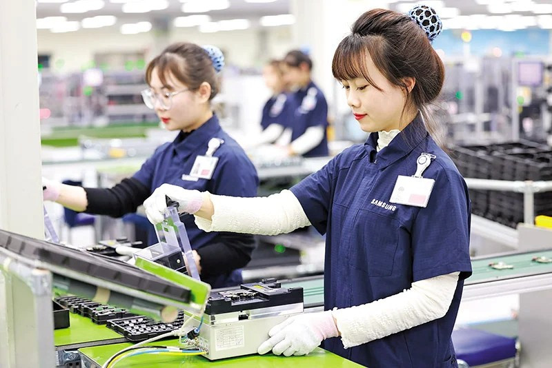 TP.HCM: Thừa cử nhân, thiếu công nhân kỹ thuật – bài toán nhân lực chưa có lời giải