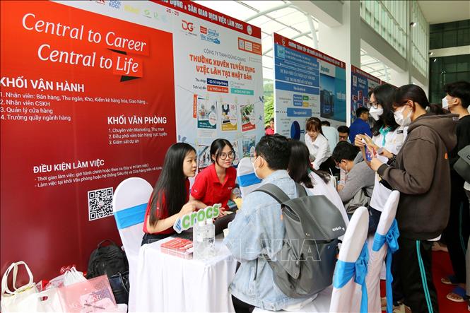 Thị trường lao động thời đại số: Kỹ năng công nghệ quyết định cơ hội việc làm