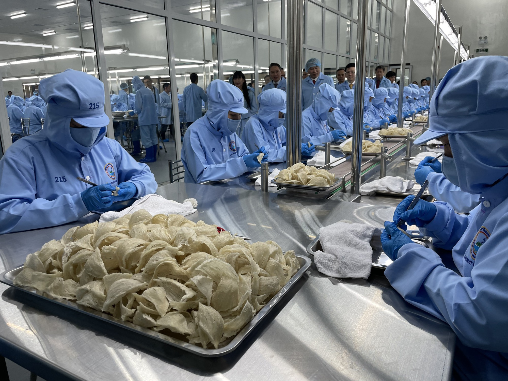 Khánh Hòa: Nhu cầu tuyển dụng tiếp tục tăng, mở rộng cơ hội việc làm trong quý III