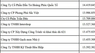 515 doanh nghiệp tại TP.HCM chậm đóng BHXH từ 1 tỷ đồng trở lên