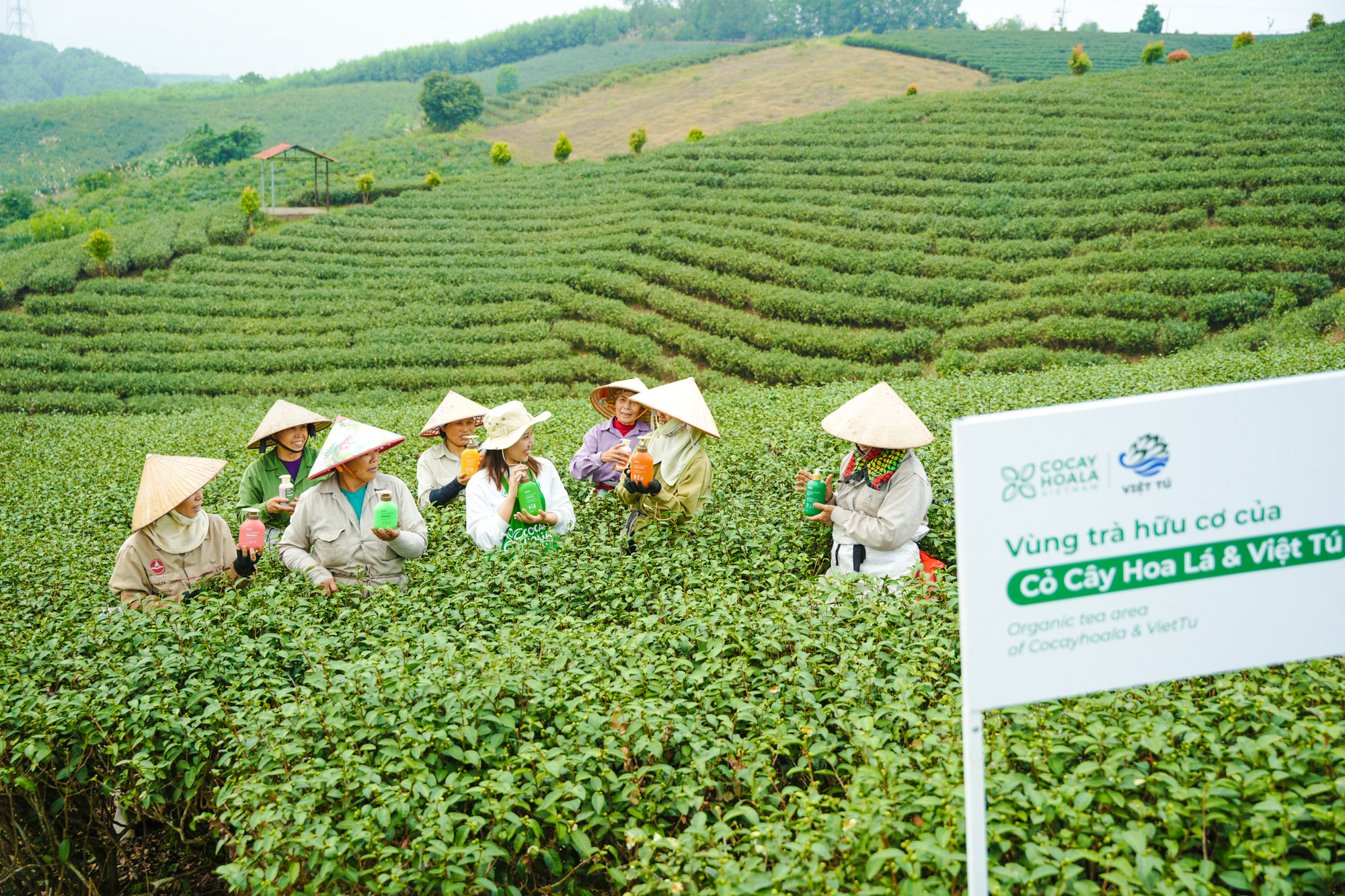 Cỏ Cây Hoa Lá: Khởi nghiệp từ ký ức về bà và những nông sản quê hương